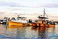 SEA TOW Newport Beach/LA image 2