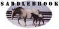 Saddlebrook Appaloosas logo