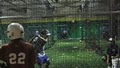 Sandlot Batting Cages image 2