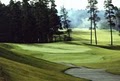 Sandpines Golf Links image 4