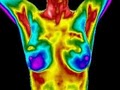 Santa Barbara Breast Thermography logo