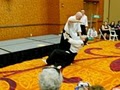 Sarpy Aikido Club image 4