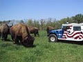 SayersBrook Bison Ranch image 4