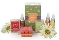 Scentsy Independent Consultant image 4