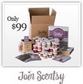 Scentsy Wickless Candles | Independent Director Emily Bain image 4