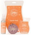 Scentsy Wickless Candles | Independent Director Emily Bain image 6