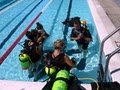 Scuba Fusion Dive Center image 3
