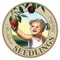 Seedlings image 1