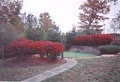 Shenandoah Miniature Golf image 3