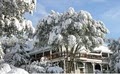 Sierra Mountain Lodge Bed & Breakfast image 2