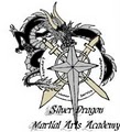 Silver Dragon Martial Arts Academy logo