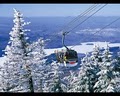 Ski Travel Unlimited image 6