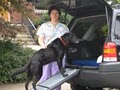 Spokane Pet Sitting, LLC image 2