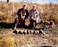 Sportsmans Acres Pheasant Hunts image 5