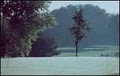 Spring Creek Golf Course image 2
