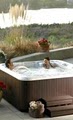 Spring Dance Hot Tubs, Inc. image 2
