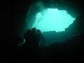 Spruce Creek Scuba image 3
