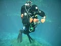 Spruce Creek Scuba image 4