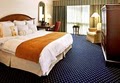 St. Louis Aiport Marriott image 3