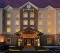 Staybridge Suites Extended Stay Hotel Chesapeake logo