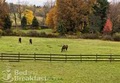 Stone Ridge Farm Bed & Brkfst image 4