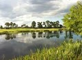 Stoneybrook Golf Course logo