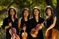 Strings Attached, Inc.  - String Quartet - Violinist - Wedding Music logo