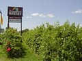 Summerside Winery Bistro image 3