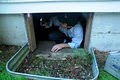 Sunrise Pest Management - Bremerton Pest Control image 6