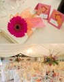 Superior Events Affordable Event Services image 4