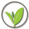 Sustainable Solutions Group LLC logo