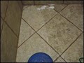 Tampa Tile Cleaning image 4