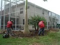 Tarzan Tree & Landscape Services image 4