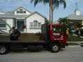 Tarzan Tree & Landscape Services image 5