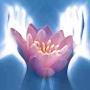 Temenos Holistic  Therapies "Sacred Space"  - Counseling, Holistic Care image 3
