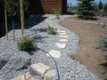Terreno landscaping image 3