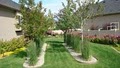 Terreno landscaping image 5