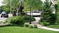 Terreno landscaping image 7