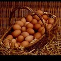 Texas Chicken Coops image 3