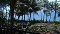 The Bali Cottage at Kehena Beach Hawaii image 10