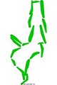 The Golf Club Tierra Oaks logo