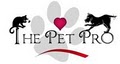 The Pet Pro image 2