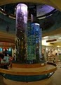 The Pier Aquarium image 3
