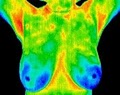 Thermography Center logo