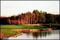 Timacuan Golf & Country Club image 3