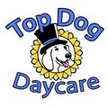 Top Dog Daycare logo