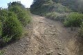 Topanga Creek Bicycles image 2