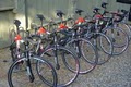Topanga Creek Bicycles image 8