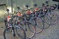 Topanga Creek Bicycles image 8