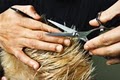 Touchdown Haircuts - Plano Hair Salon image 7